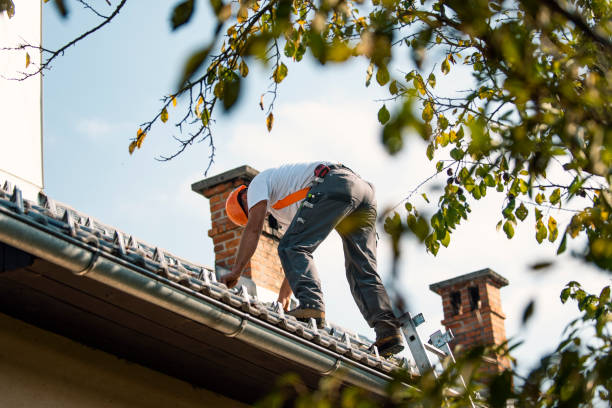 Best Residential Roofing Contractor  in Bridgewater, VA
