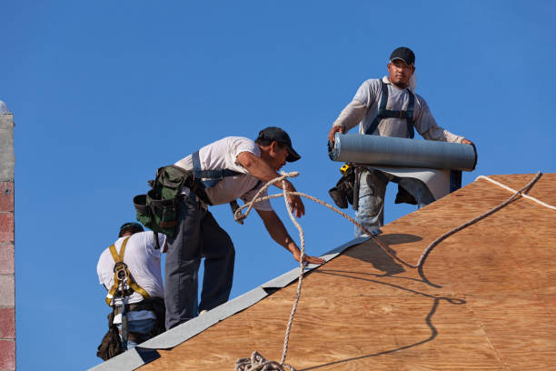 Best Local Roofing Companies  in Bridgewater, VA