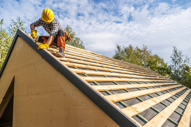 Best Metal Roofing Contractor  in Bridgewater, VA