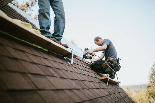 Best Emergency Roof Repair  in Bridgewater, VA